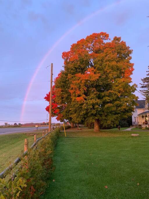 The Barns Of Brighton Near Prince Edward County Exterior foto